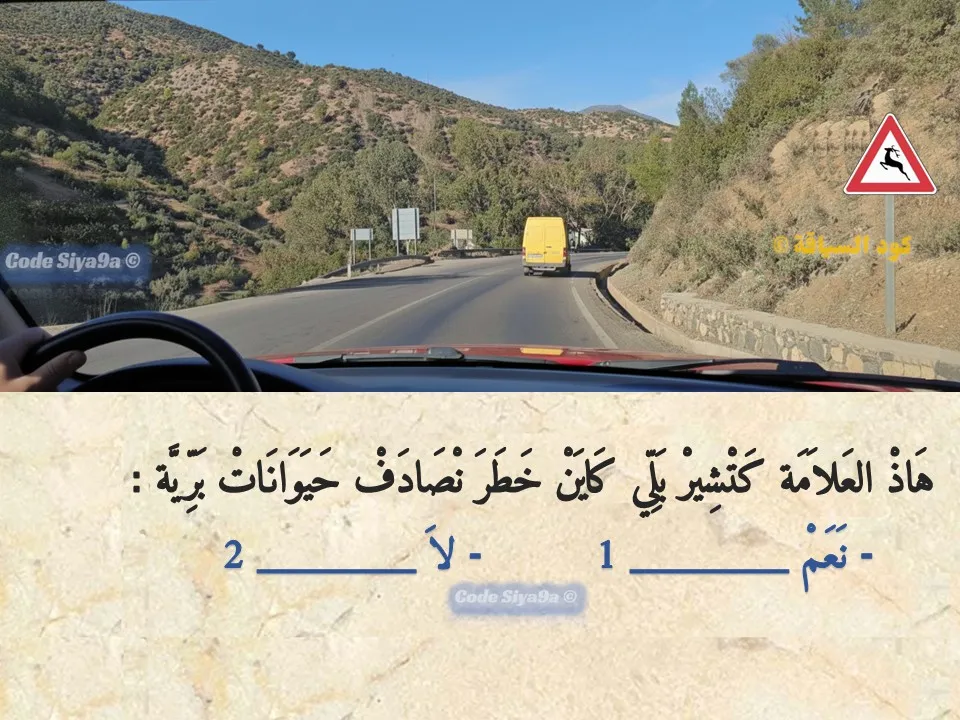 السلسلة 117 — السؤال 9