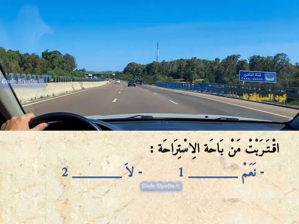 السلسلة 117 — السؤال 17