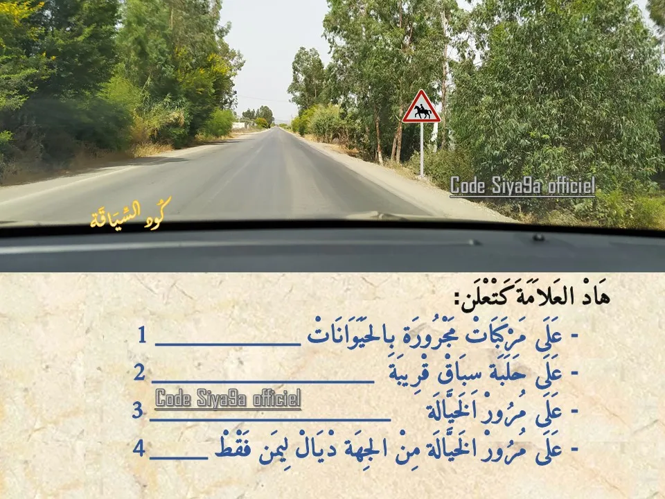 السلسلة 123 — السؤال 24