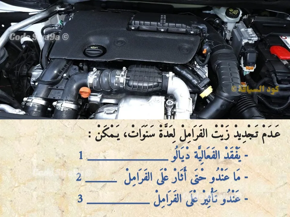 السلسلة 126 — السؤال 24