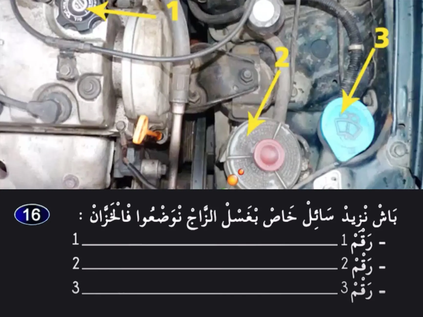 السلسلة 25 — السؤال 16