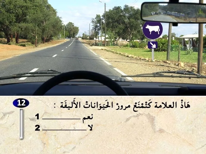 السلسلة 31 — السؤال 12