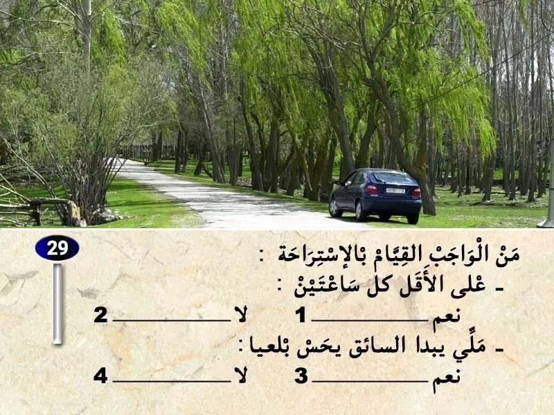 السلسلة 40 — السؤال 29
