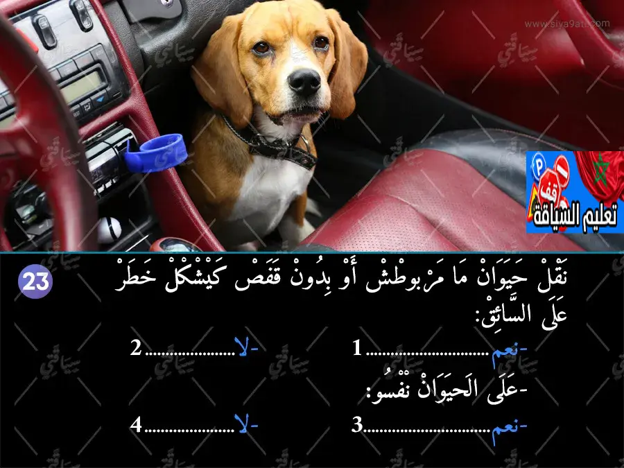 السلسلة 45 — السؤال 23