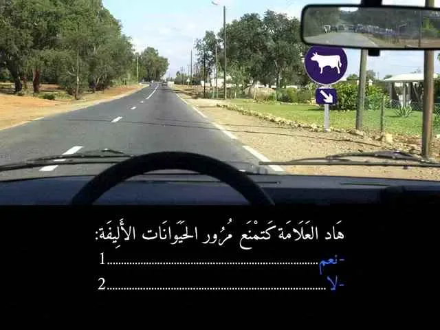 السلسلة 91 — السؤال 17