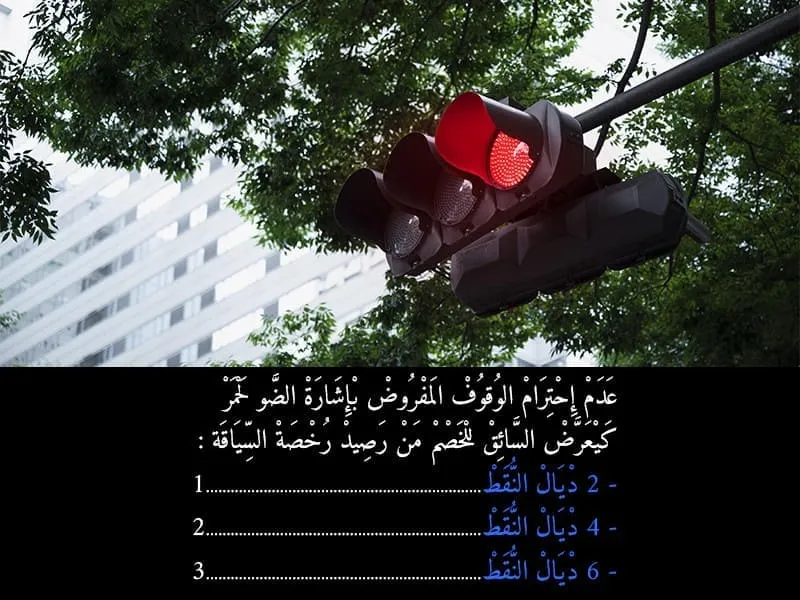 السلسلة 95 — السؤال 20